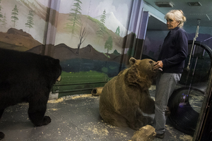 Susan Kowalczik lets Jenny, a Syrian brown bear, suck on her fingers after feeding. 